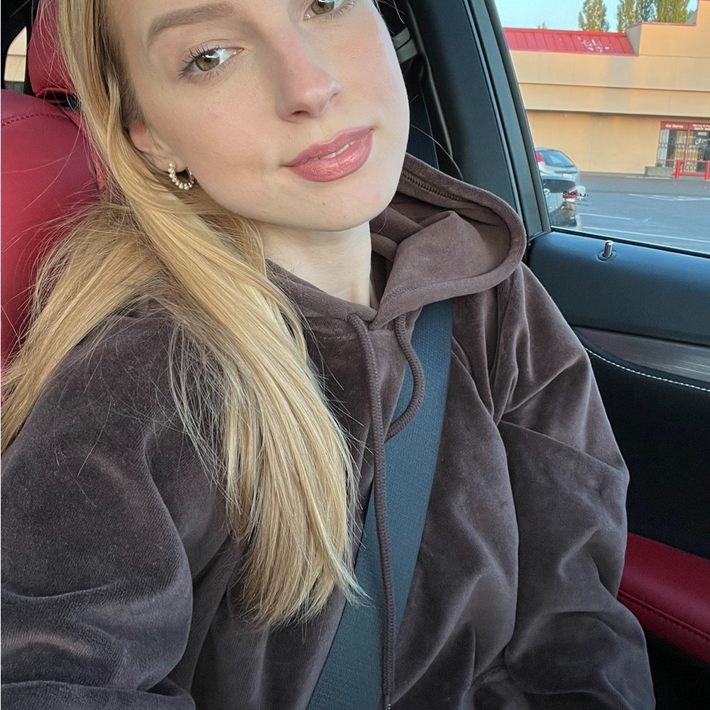 Velvet brown hoodie Aritzia